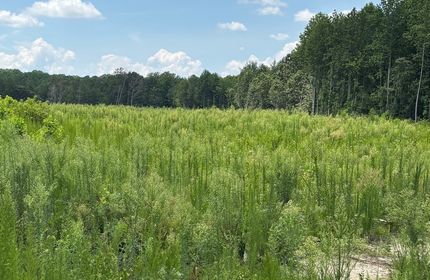 Timberland Property for sale in Lancaster County, Virginia