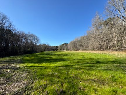 Land for sale in Lawrence County, Mississippi