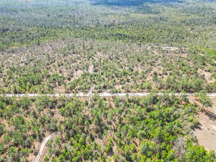 Timberland Property for sale in Calhoun County, Florida