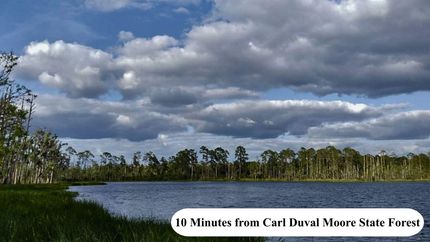 Undeveloped Land for sale in Putnam County, Florida