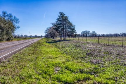 Timberland Property for sale in Madison County, Texas