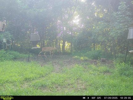 Recreational Property in Monroe County, Ohio