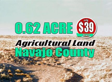 Farm and Ranch for sale in Navajo County, Arizona