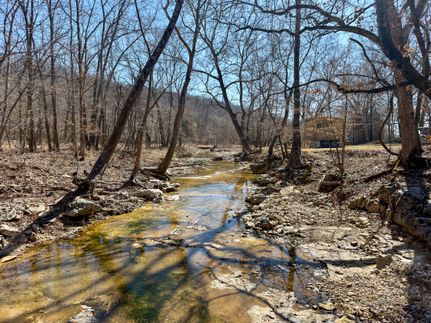 Farm and Ranch for sale in Douglas County, Missouri