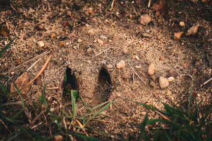 Recreational Property for sale in Crisp County, Georgia