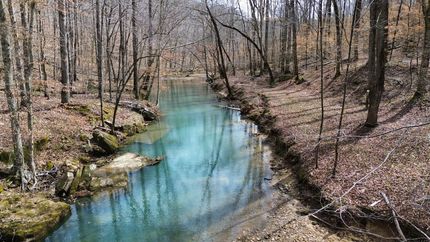 Farm and Ranch for sale in Lawrence County, Alabama