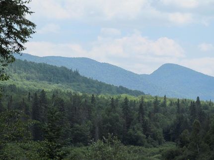 Farm and Ranch for sale in Hamilton County, New York