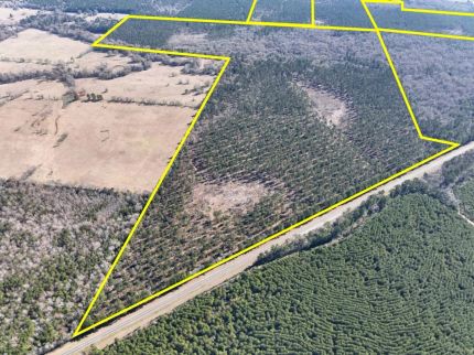 Land in Trinity County, Texas