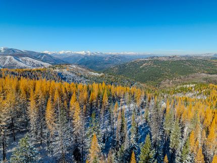 Farm and Ranch for sale in Lincoln County, Montana