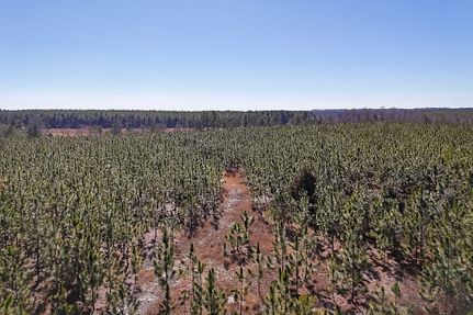 Farm and Ranch in Kershaw County, South Carolina