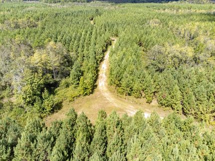 Timberland Property for sale in Holmes County, Florida