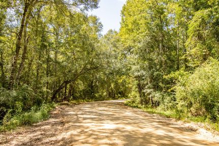 Timberland Property for sale in Holmes County, Florida