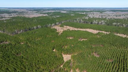 Land for sale in Wilcox County, Georgia