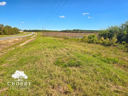 Land for sale in Dodge County, Georgia