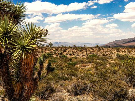 Farm and Ranch for sale in Mohave County, Arizona
