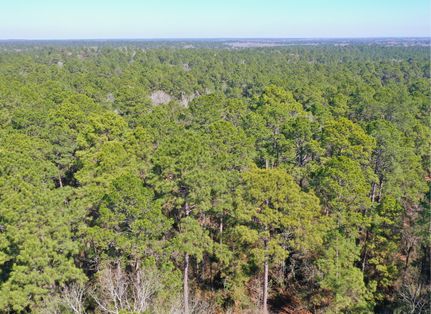 Farm and Ranch for sale in Trinity County, Texas