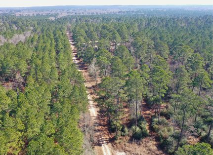Land for sale in Trinity County, Texas