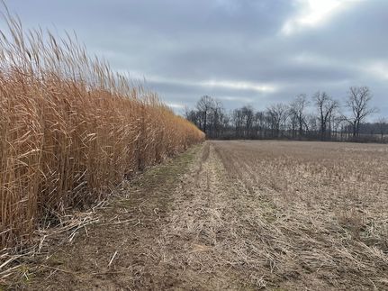 Commercial Property in Champaign County, Ohio