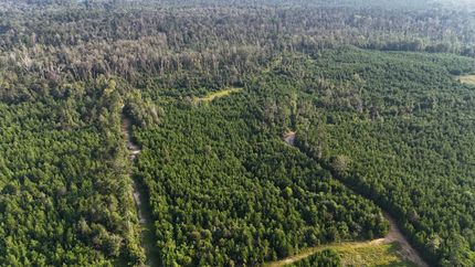 Farm and Ranch for sale in Vernon Parish, Louisiana
