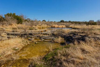Farm and Ranch for sale in Blanco County, Texas