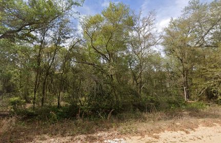 Recreational Property for sale in Putnam County, Florida