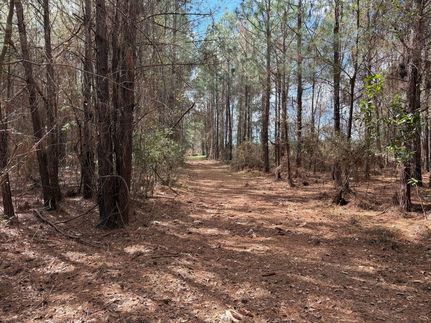 Farm and Ranch for sale in Pierce County, Georgia