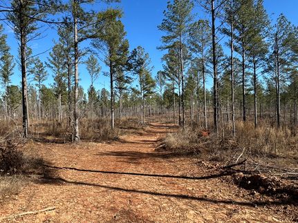 Land for sale in Newton County, Georgia