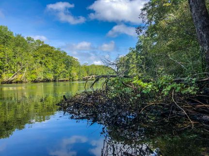 Timberland Property for sale in Wakulla County, Florida