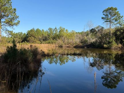 Undeveloped Land for sale in Pierce County, Georgia