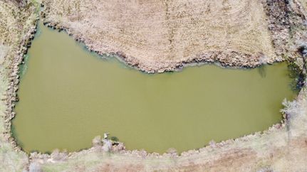Land for sale in Cass County, Texas