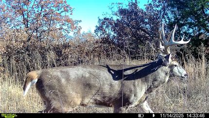 Timberland Property for sale in Woodward County, Oklahoma