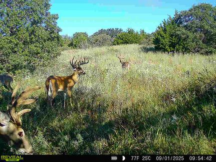 Timberland Property for sale in Woodward County, Oklahoma
