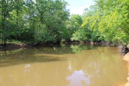 Land for sale in Greene County, Alabama