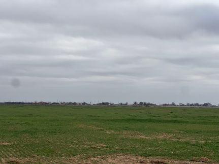 Undeveloped Land for sale in Hardeman County, Texas