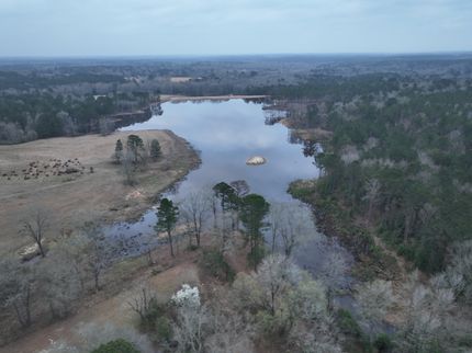 Horse Property for sale in Cass County, Texas