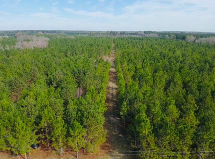 Recreational Property for sale in Wilcox County, Georgia