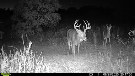Farm and Ranch for sale in Woodward County, Oklahoma