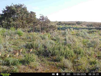 Farm and Ranch for sale in Woodward County, Oklahoma