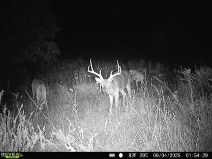 Farm and Ranch for sale in Woodward County, Oklahoma
