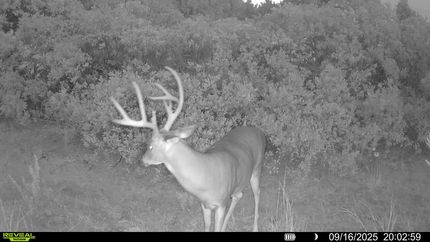 Recreational Property for sale in Woodward County, Oklahoma