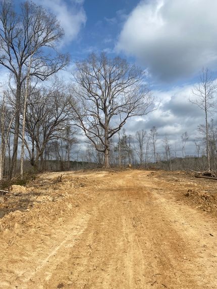 Timberland Property for sale in Madison County, Mississippi