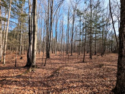 Land for sale in Steuben County, New York