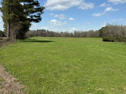 Land for sale in Coffee County, Alabama