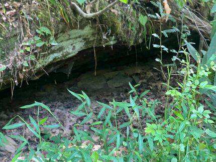 Timberland Property for sale in Hocking County, Ohio