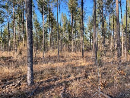 Recreational Property for sale in Rankin County, Mississippi