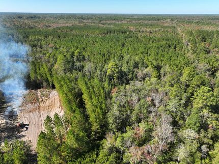 Recreational Property in Brantley County, Georgia