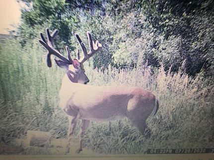 Farm and Ranch for sale in Marion County, Kansas