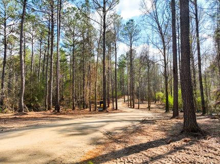Homesite for sale in Macon County, Alabama