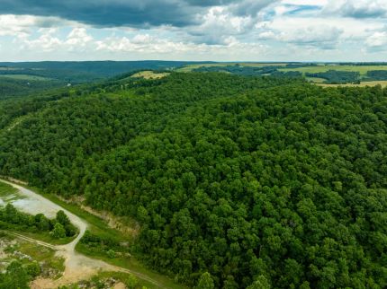 Farm and Ranch for sale in Stone County, Arkansas