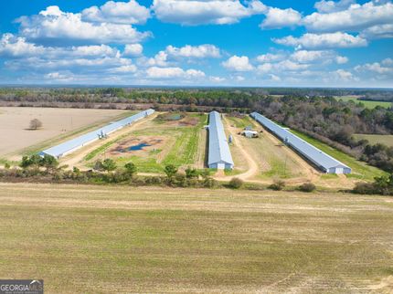 Land for sale in Colquitt County, Georgia